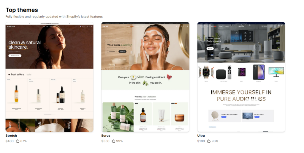 Shopify theme cost